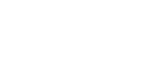 Turkish Airlines logo